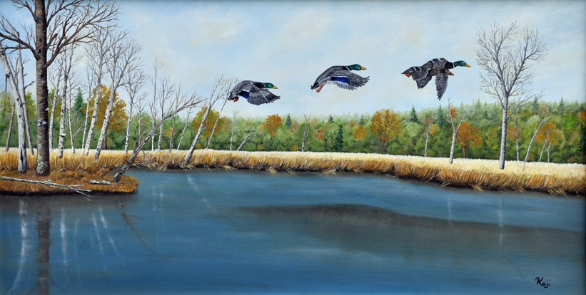 flying-ducks