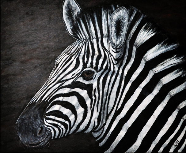 zebra